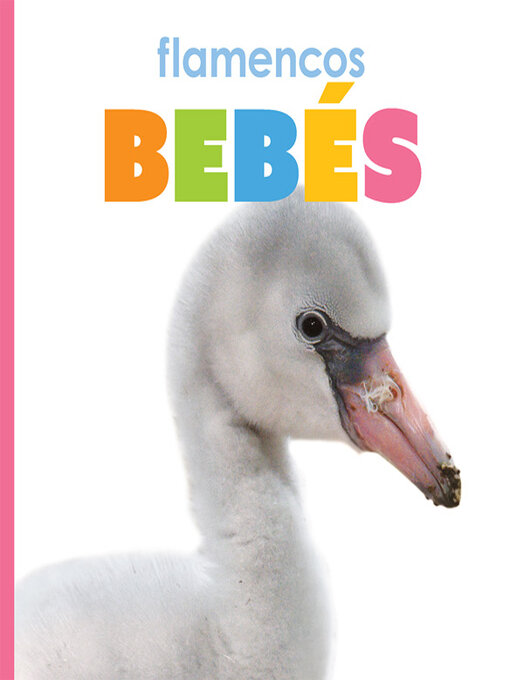 Title details for flamencos bebés by Kate Riggs - Available